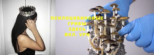 альфа пвп Карпинск