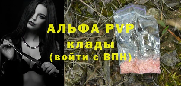 крисы Касимов