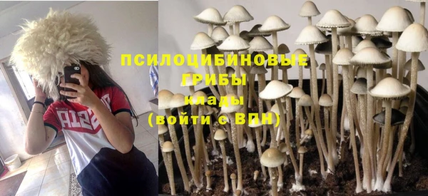 крисы Касимов