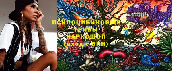 крисы Касимов